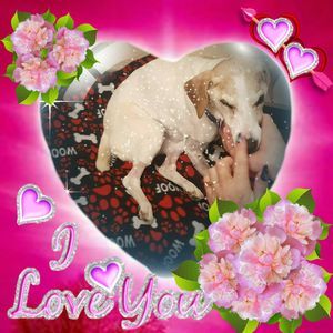 Meet your Posher, Ruth